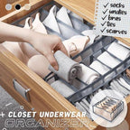 🔥Limited-time sale: 50% off 🔥Underwear Storage Compartment Box🗄️