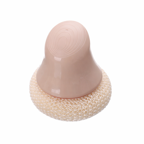 Kitchen Dishwashing Brush with Handle